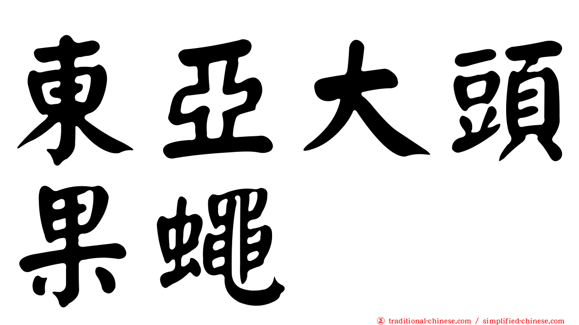東亞大頭果蠅