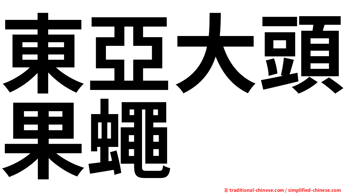 東亞大頭果蠅