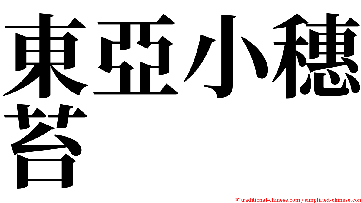 東亞小穗苔 serif font