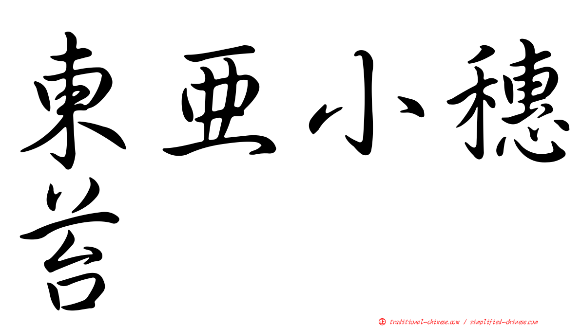東亞小穗苔