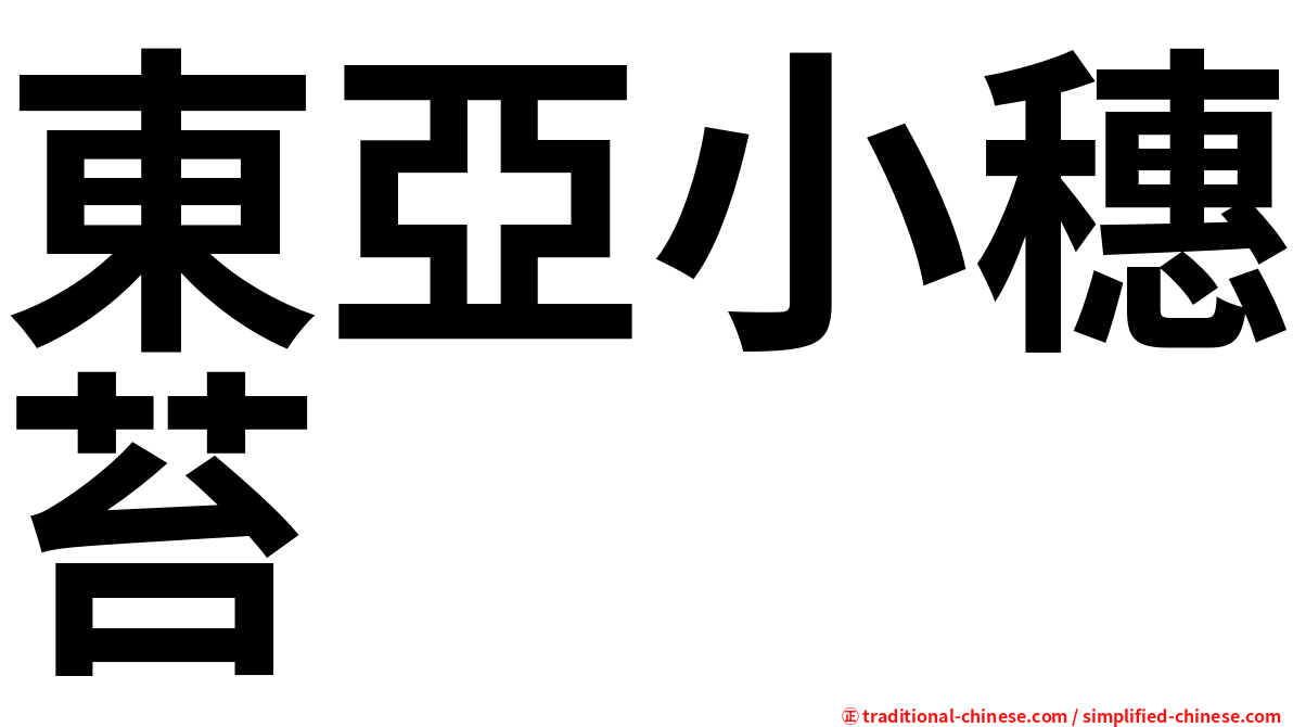 東亞小穗苔