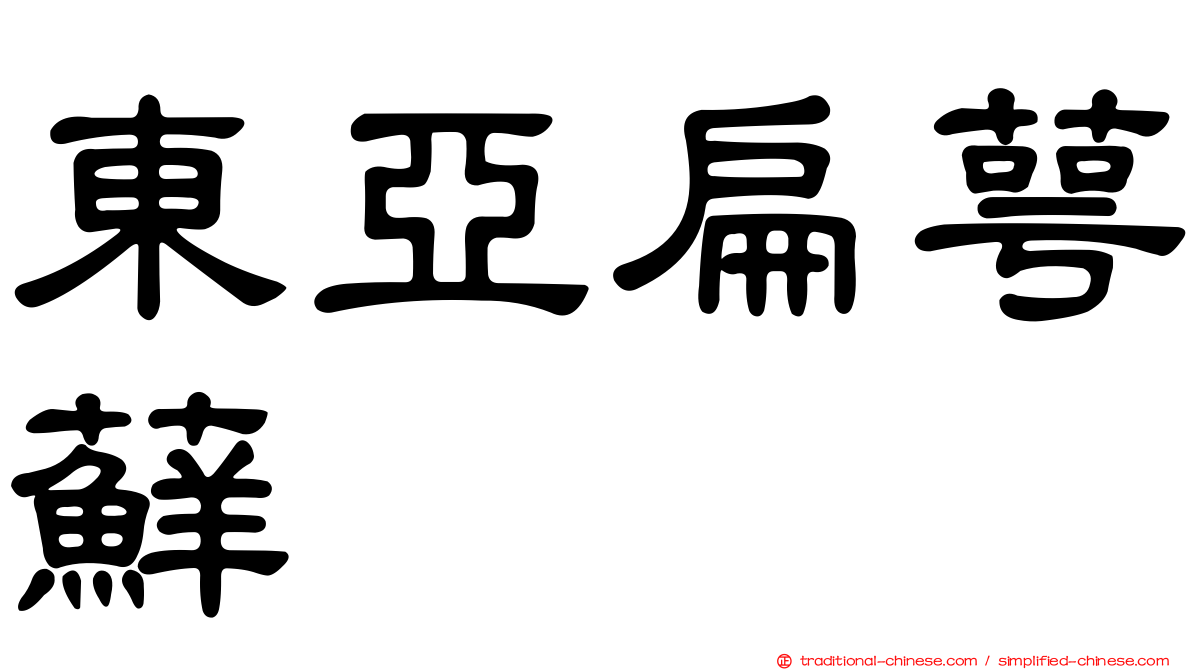 東亞扁萼蘚