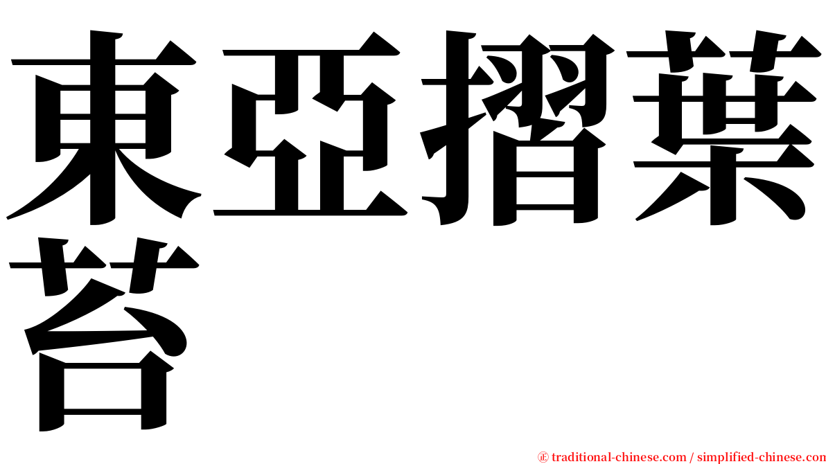 東亞摺葉苔 serif font