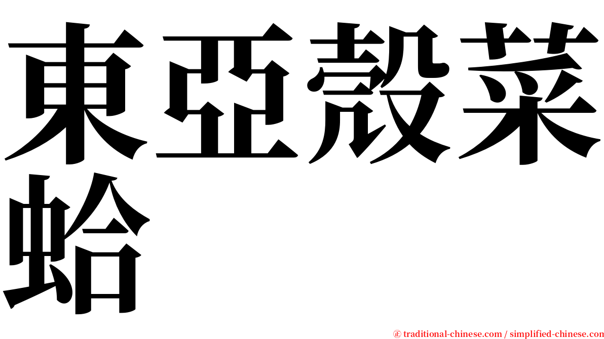 東亞殼菜蛤 serif font