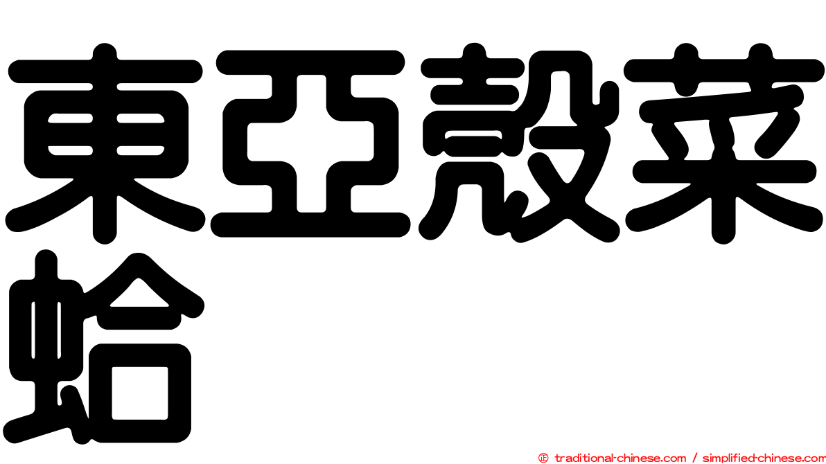 東亞殼菜蛤