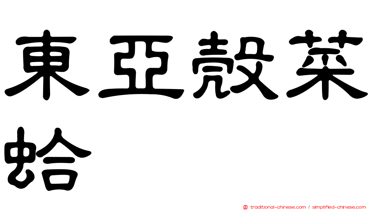 東亞殼菜蛤