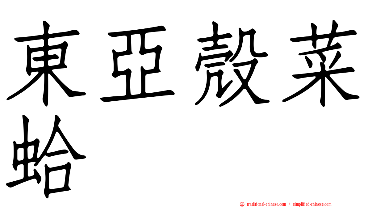 東亞殼菜蛤