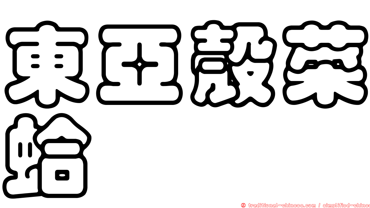 東亞殼菜蛤