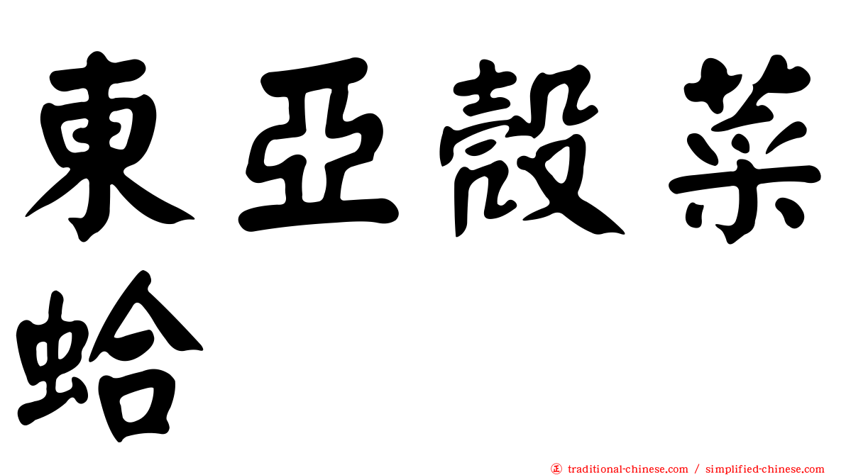 東亞殼菜蛤