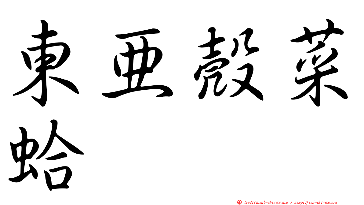 東亞殼菜蛤