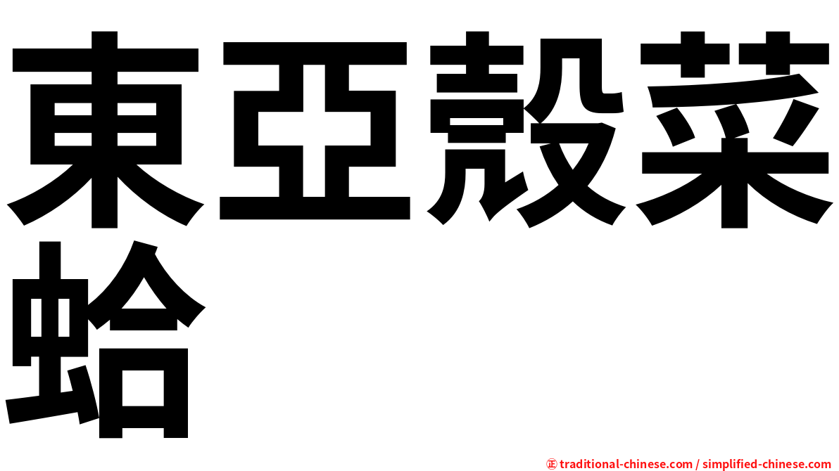 東亞殼菜蛤
