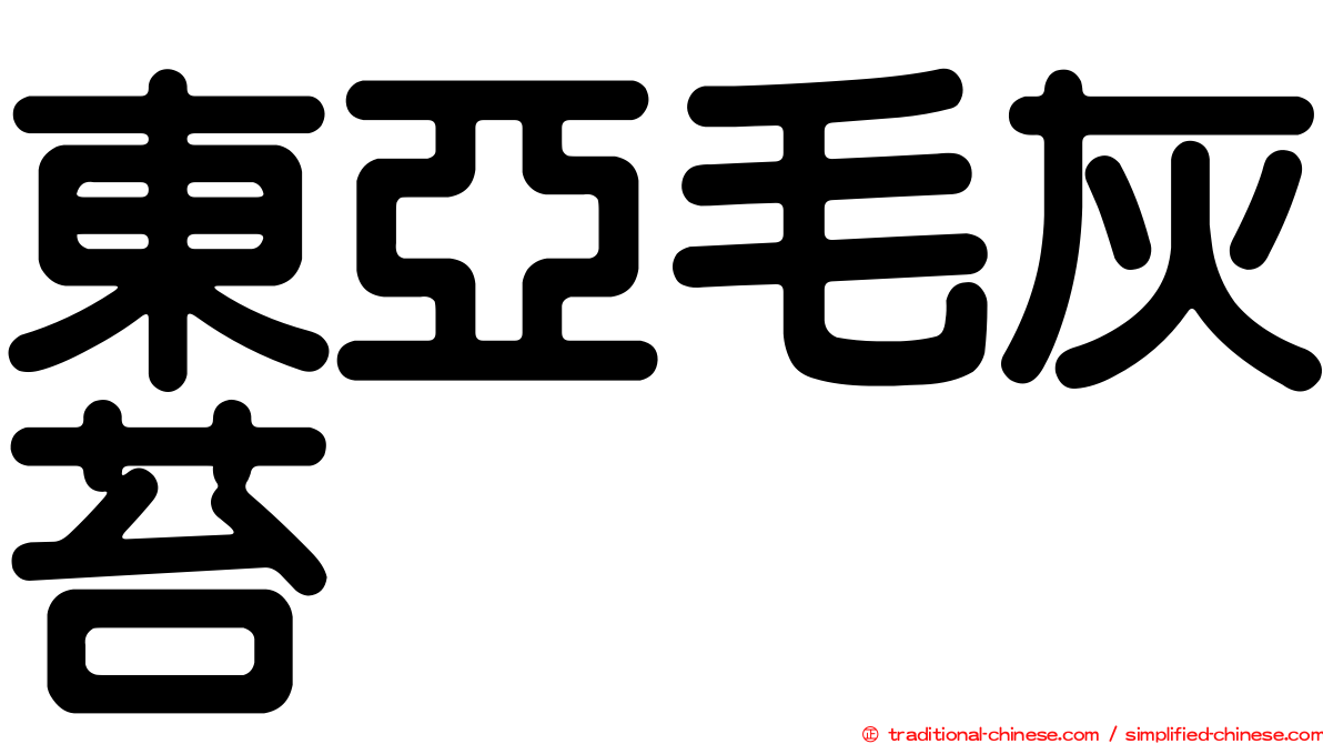東亞毛灰苔