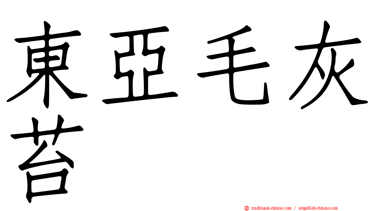 東亞毛灰苔