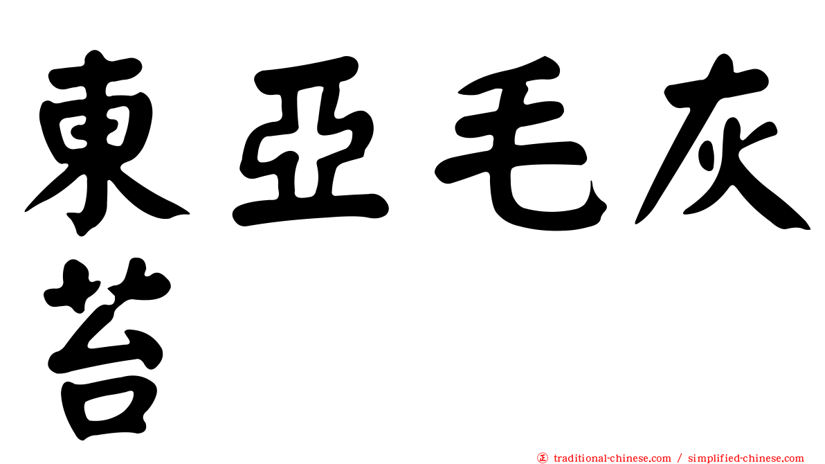 東亞毛灰苔