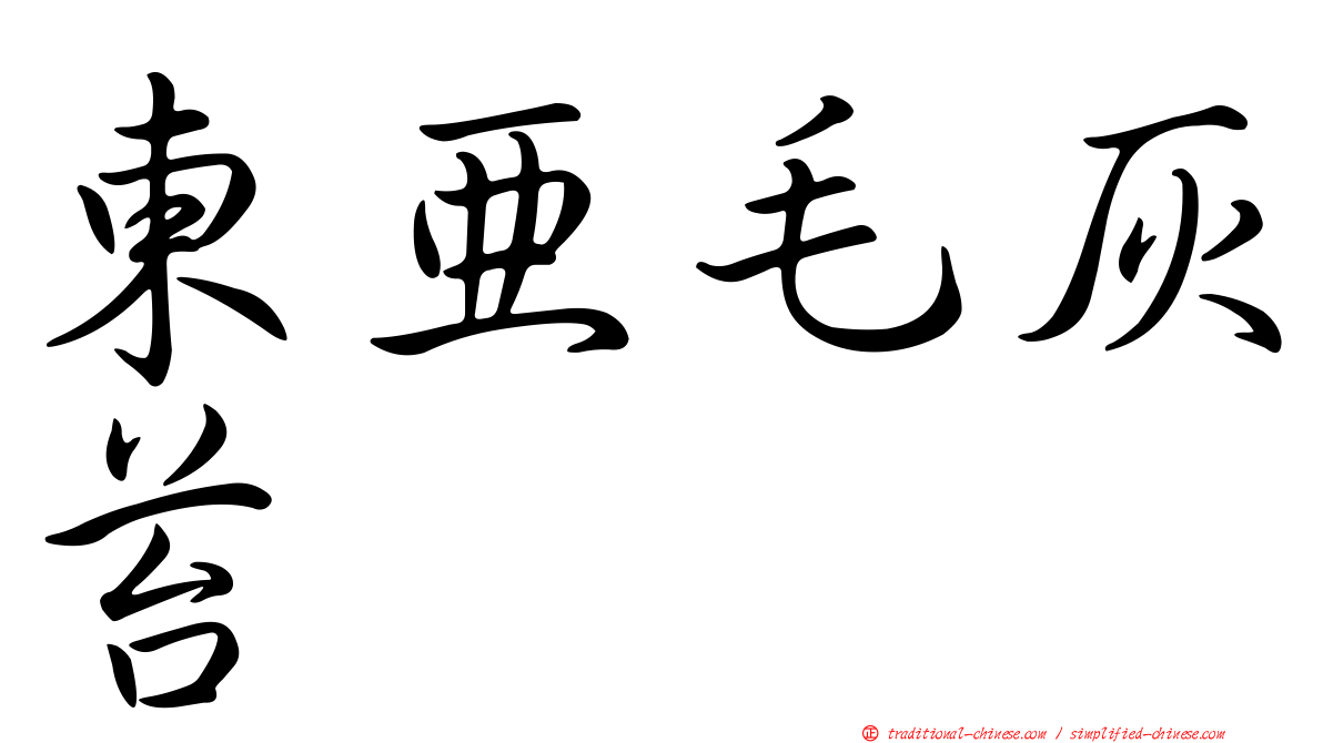 東亞毛灰苔