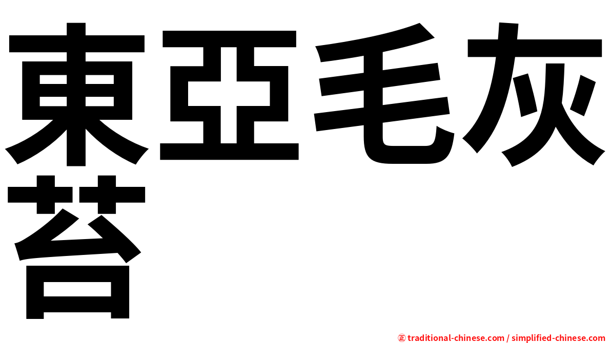 東亞毛灰苔