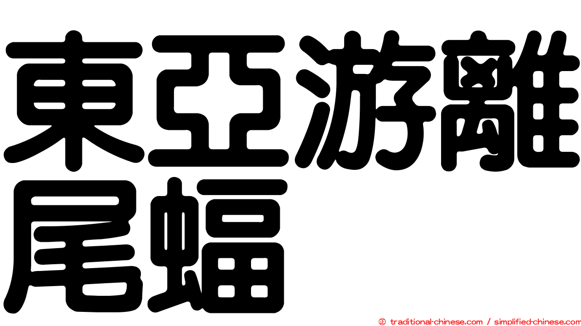 東亞游離尾蝠