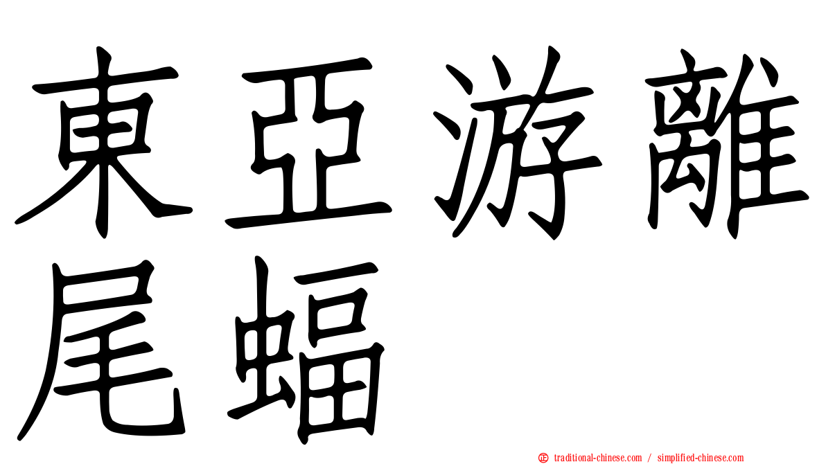 東亞游離尾蝠