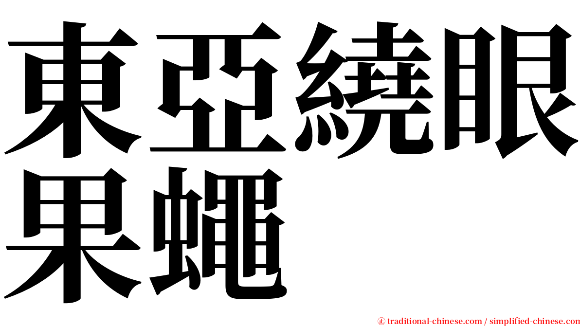 東亞繞眼果蠅 serif font