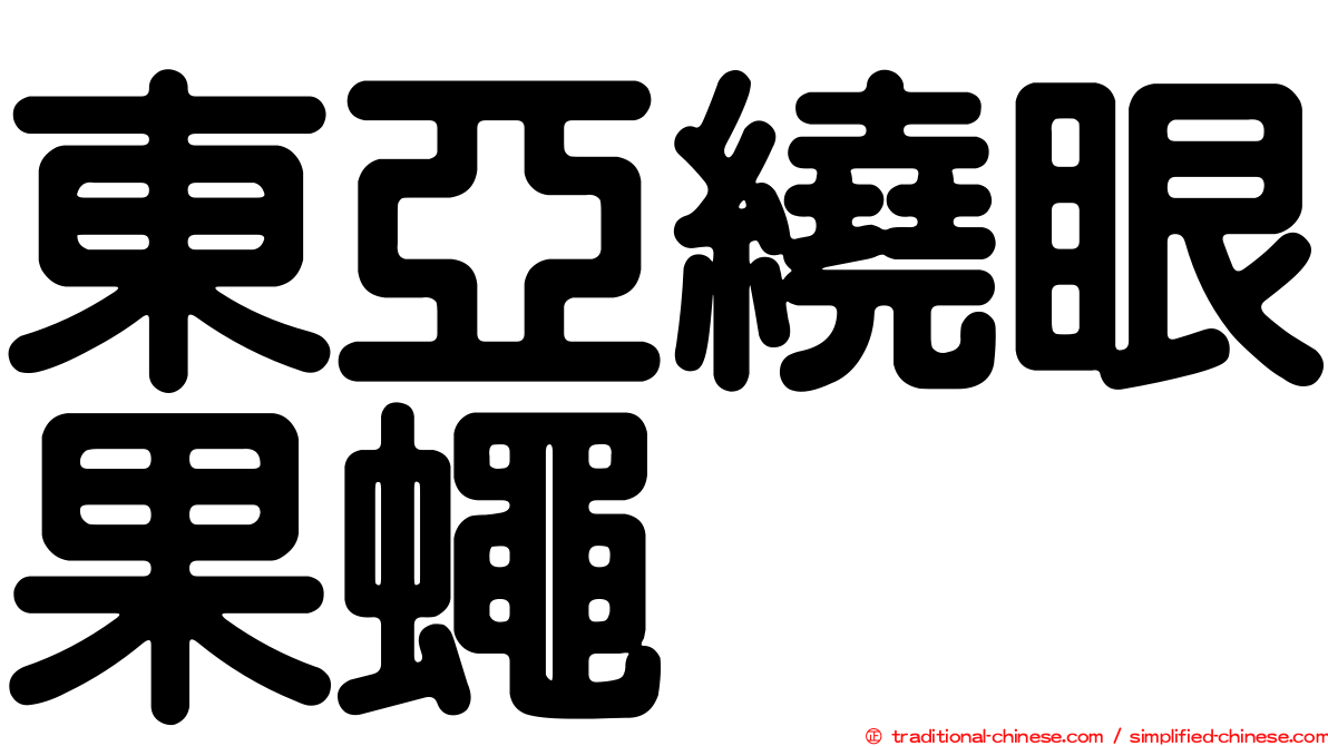 東亞繞眼果蠅