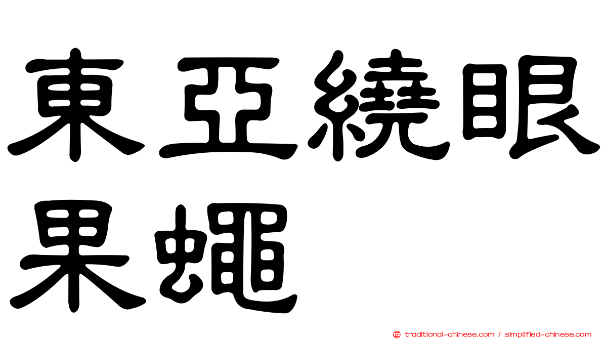 東亞繞眼果蠅