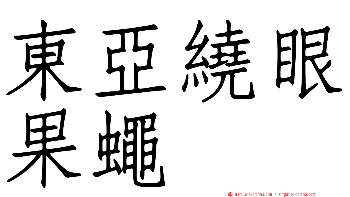 東亞繞眼果蠅