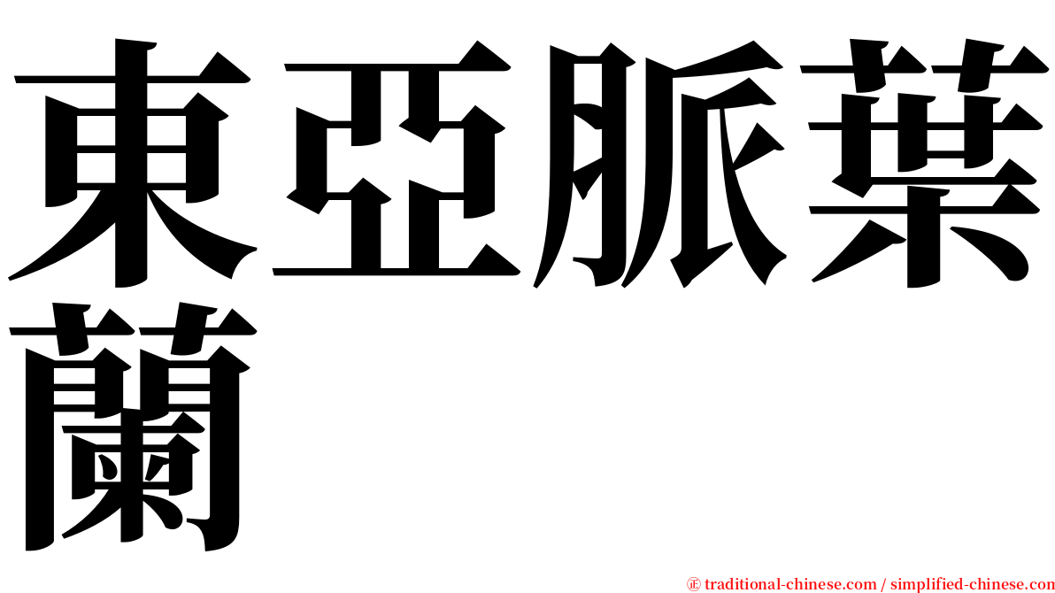 東亞脈葉蘭 serif font