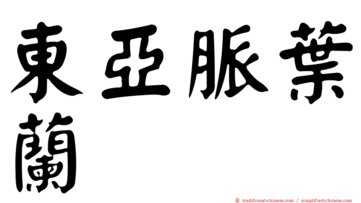 東亞脈葉蘭