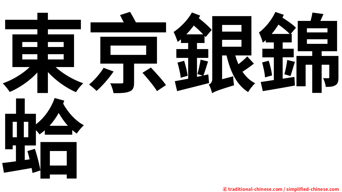 東京銀錦蛤