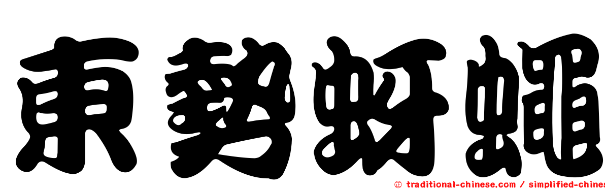 東勢蚜蠅