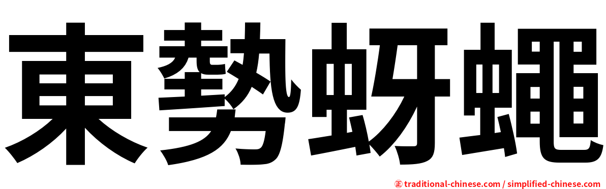 東勢蚜蠅