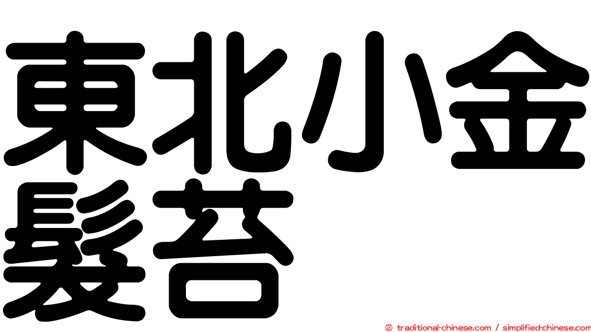 東北小金髮苔