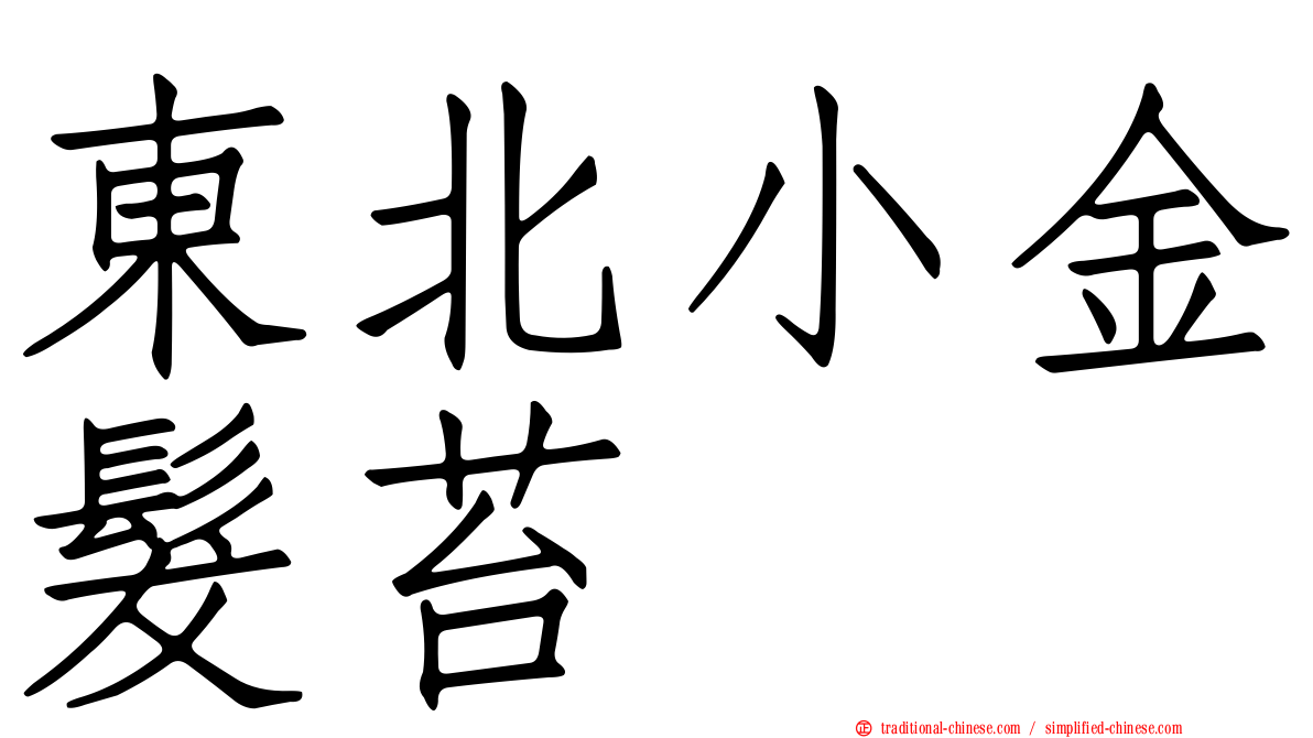 東北小金髮苔