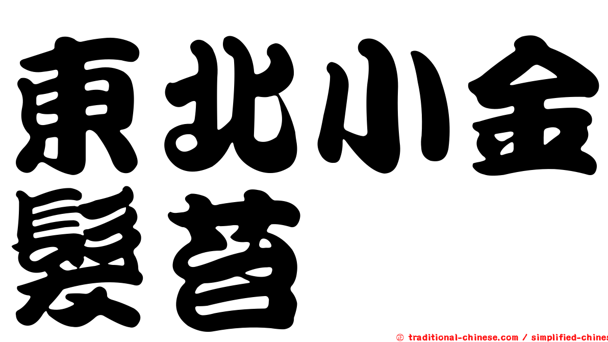 東北小金髮苔