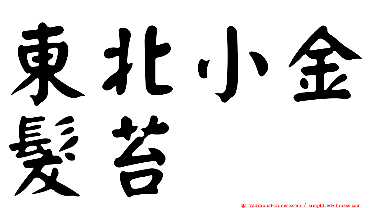 東北小金髮苔