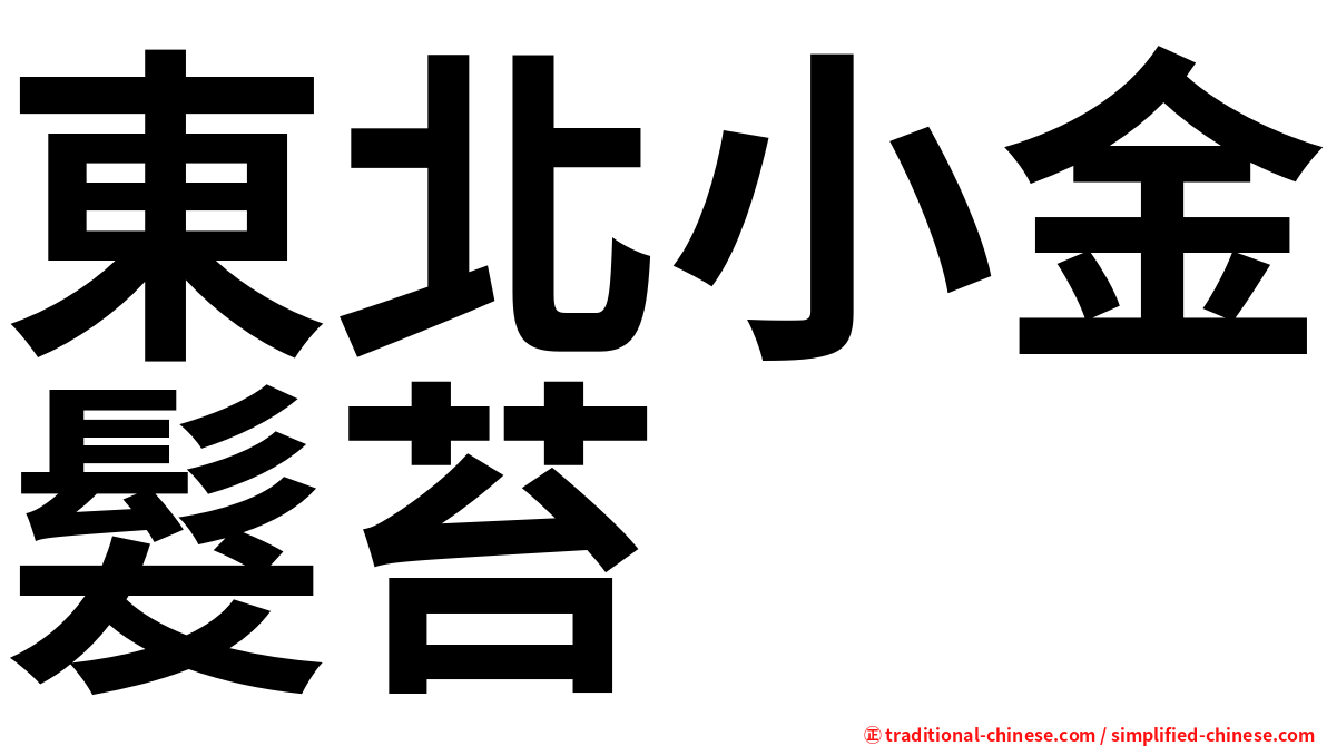 東北小金髮苔