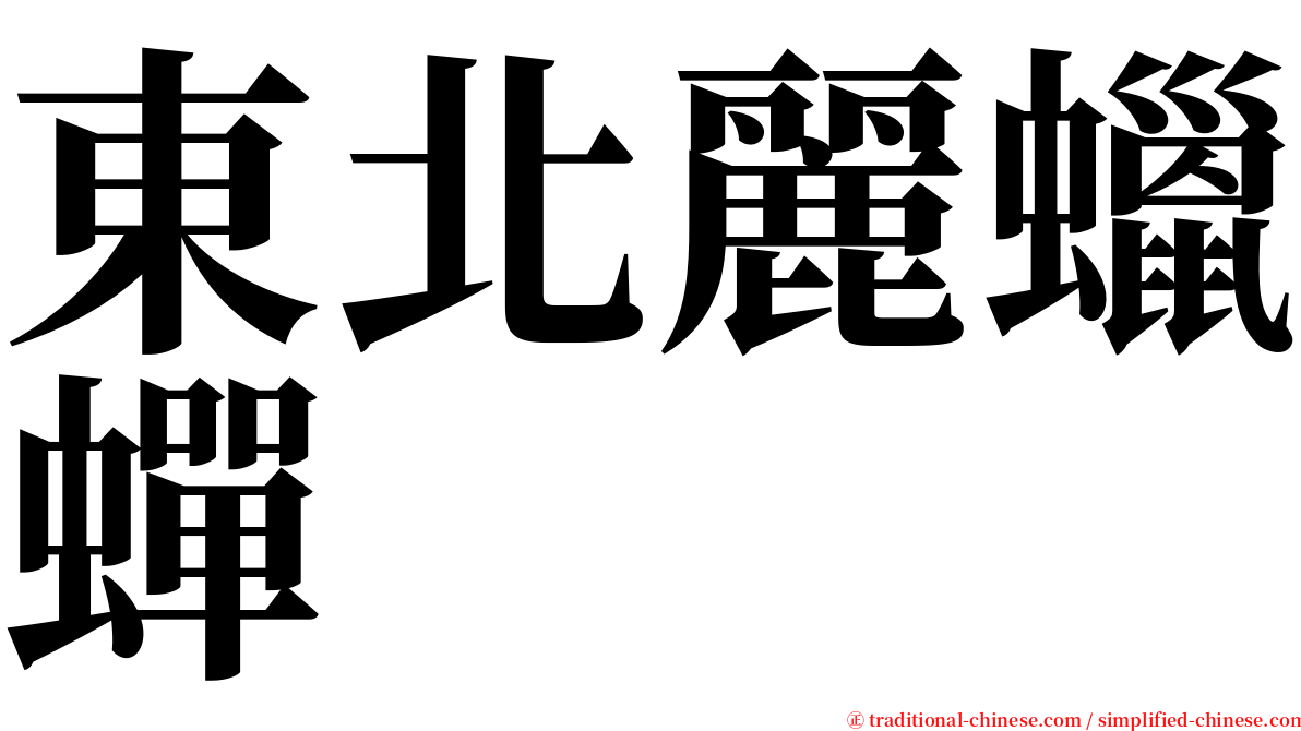 東北麗蠟蟬 serif font