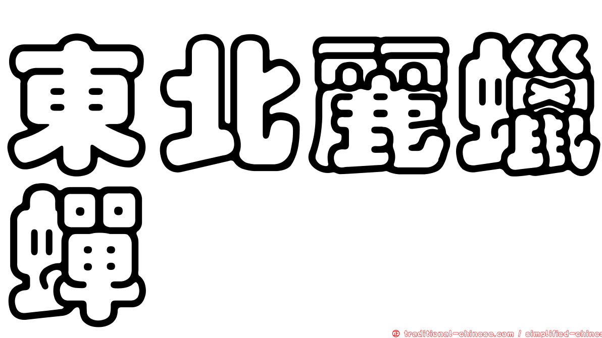 東北麗蠟蟬