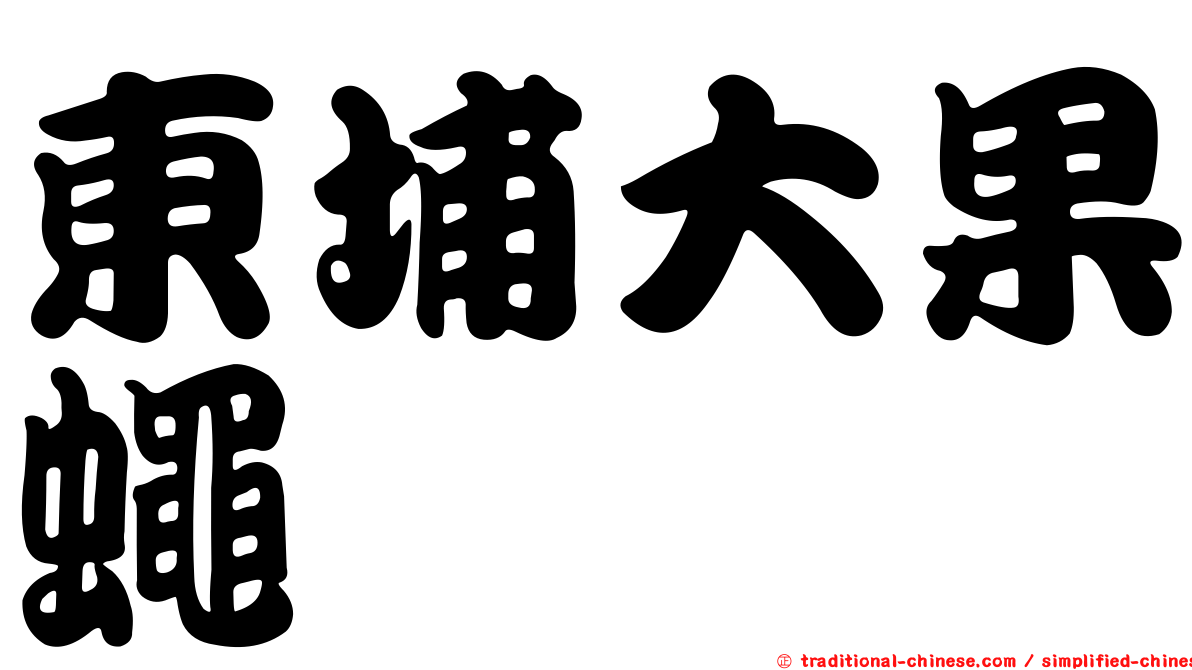 東埔大果蠅