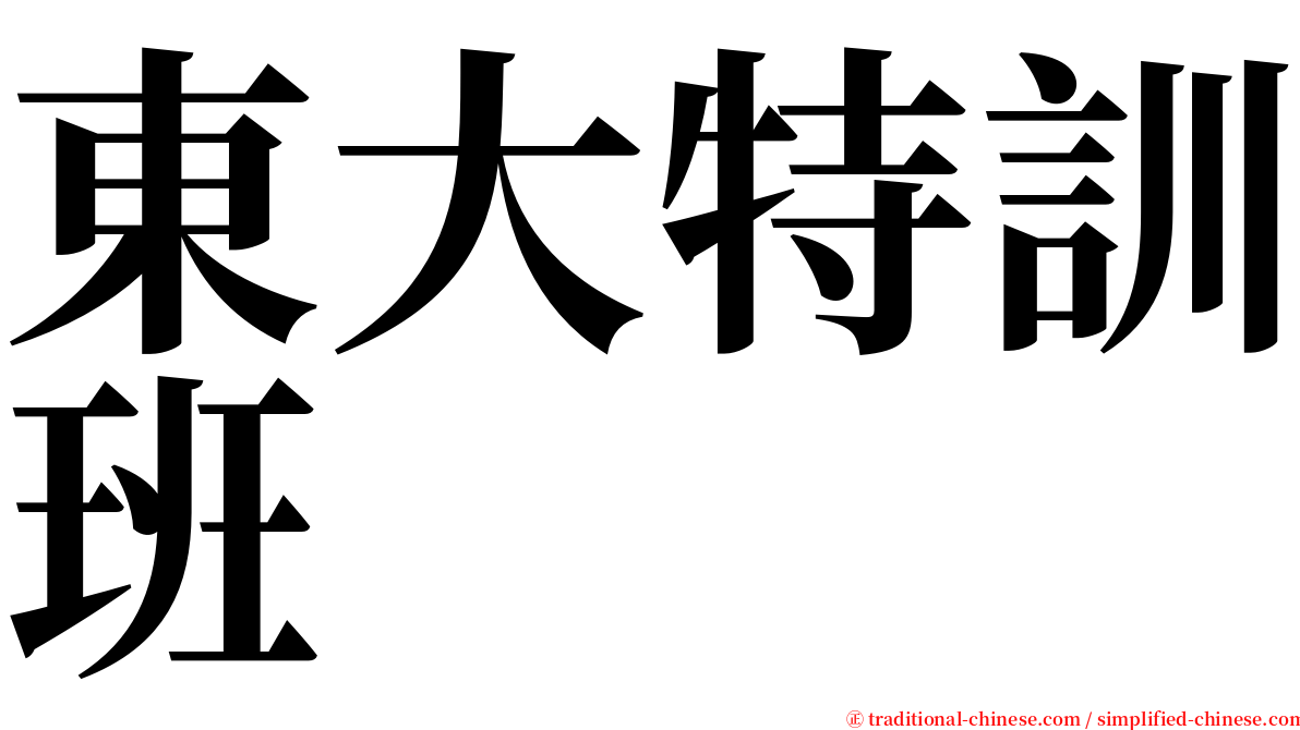 東大特訓班 serif font
