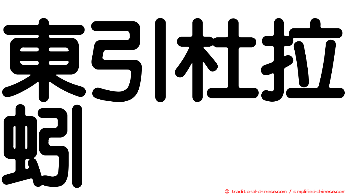 東引杜拉蚓