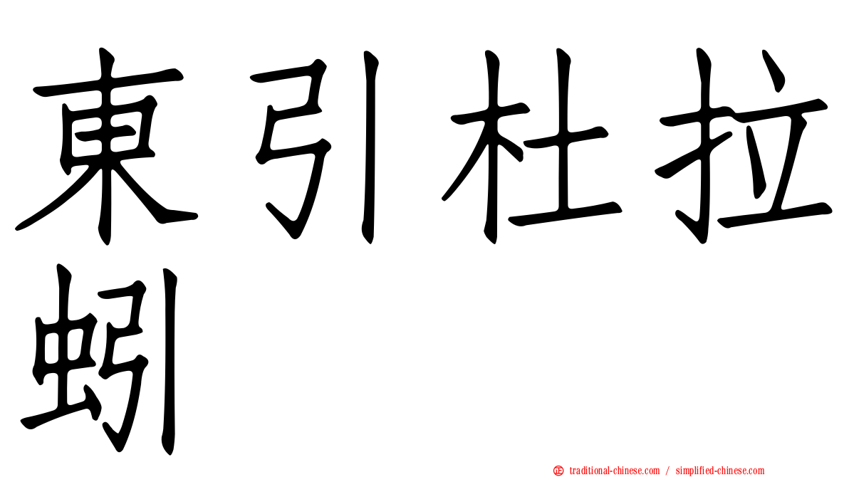 東引杜拉蚓
