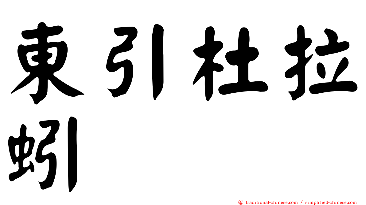 東引杜拉蚓