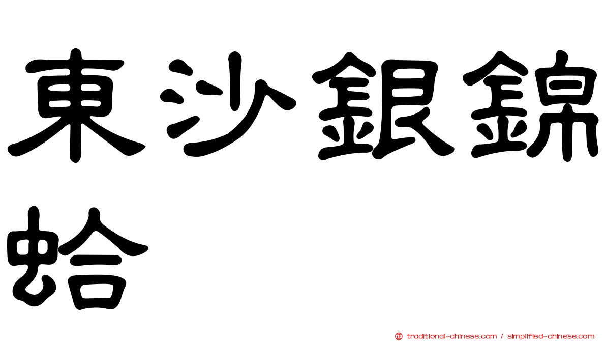 東沙銀錦蛤