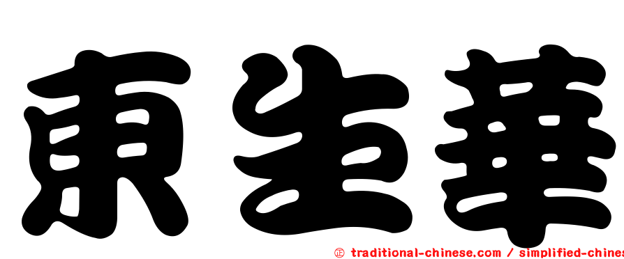 東生華