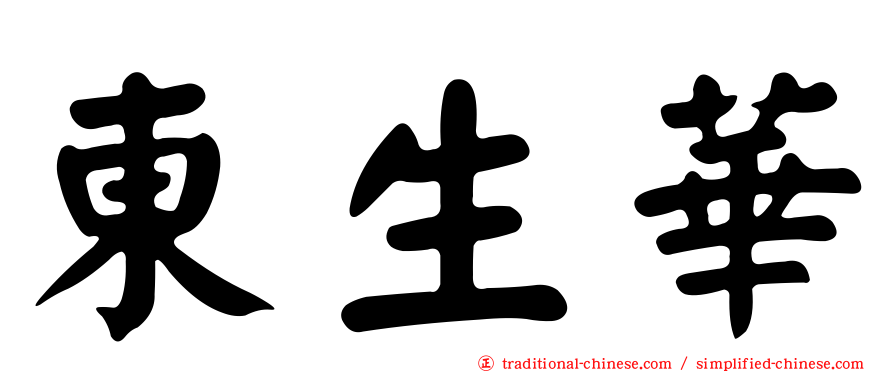 東生華