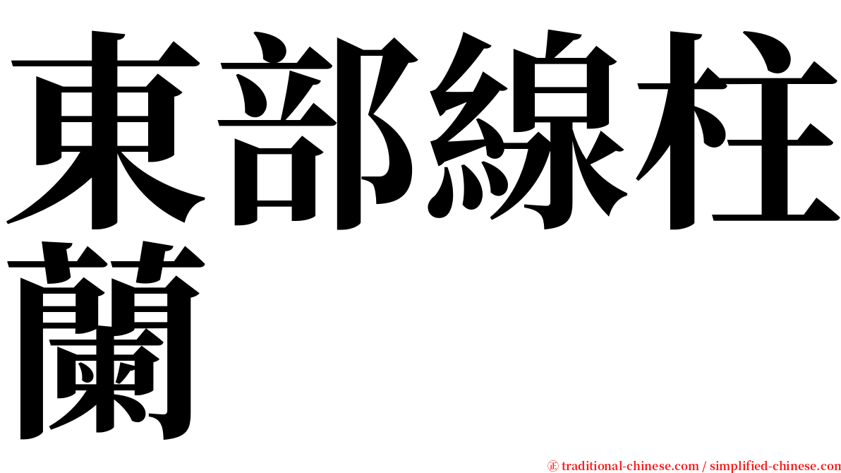 東部線柱蘭 serif font
