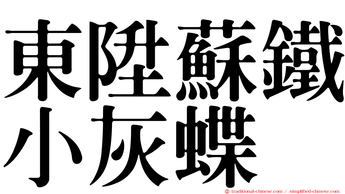 東陞蘇鐵小灰蝶