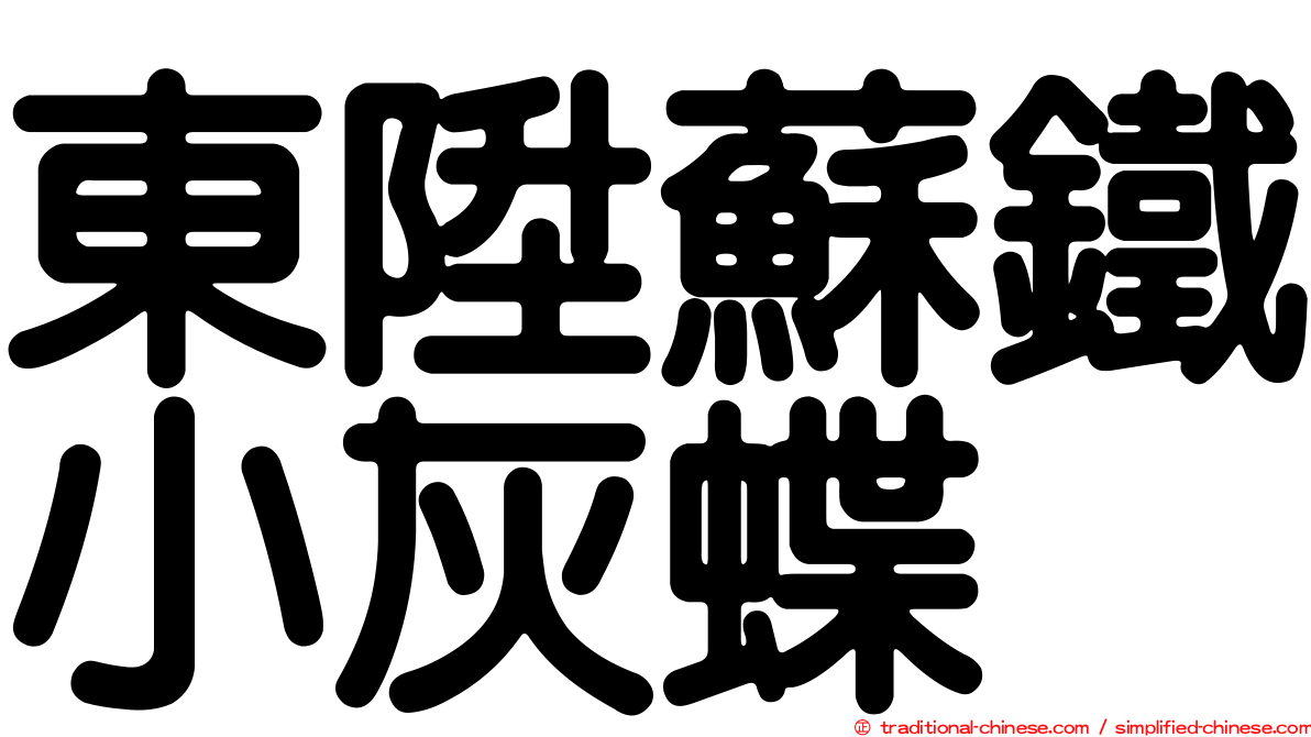 東陞蘇鐵小灰蝶