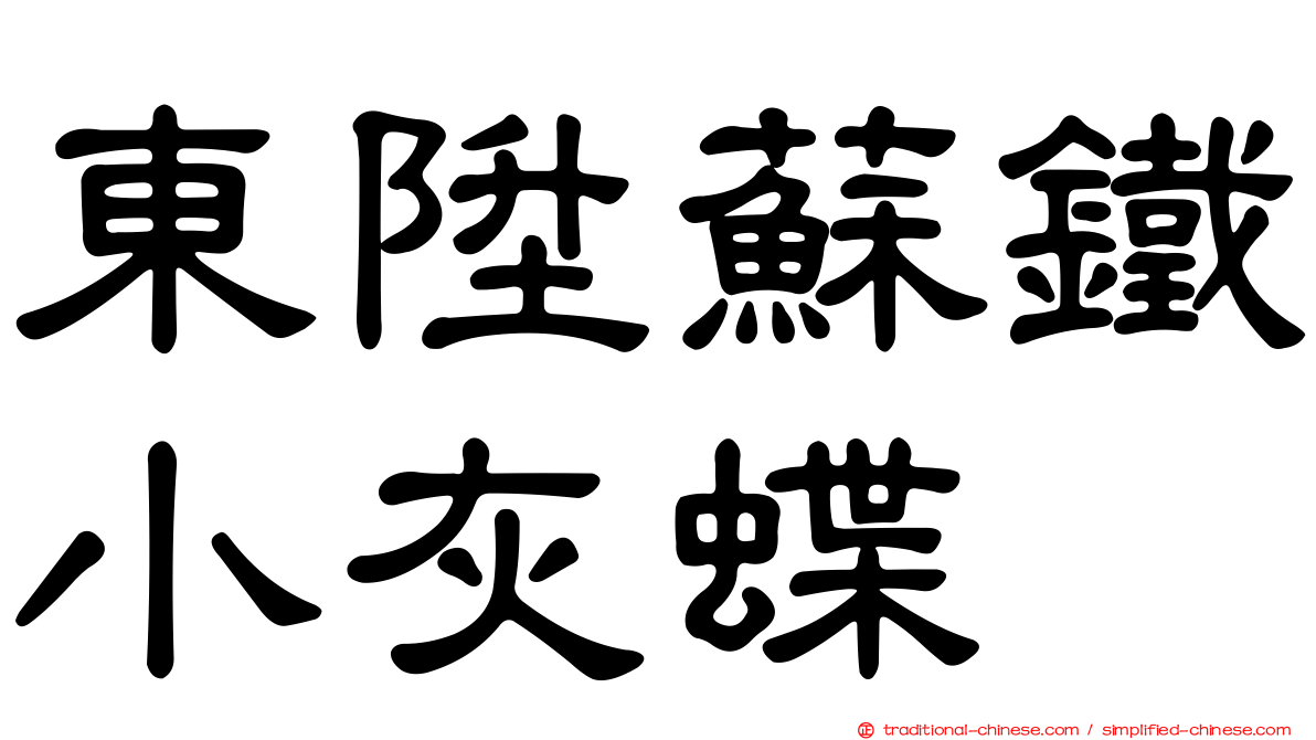 東陞蘇鐵小灰蝶